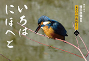 いろはにほへと(二)