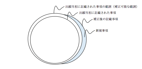 ミラートランスレーションの範囲の審査基準 通常の特許出願(出願言語が日本語)