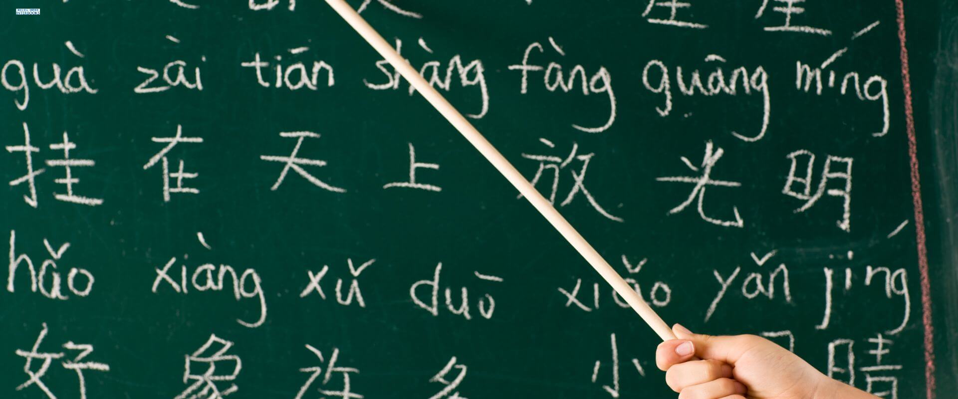 英語だけじゃない! 中国語・韓国語・多言語対応で見込める海外ビジネスの伸び